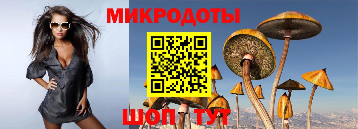 Псилоцибиновые грибы Psilocybine cubensis Можайск